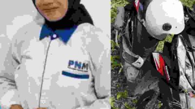 Karyawati PNM Ditemukan Tewas di Kebun Kelapa Pasangkayu, Diduga Dibonceng Suami Nasabah