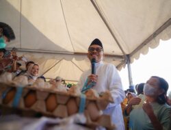 Tinjau Pasar Murah Mamuju, Gubernur Sulbar Turunkan Harga Beras dan Telur hingga 30 Persen