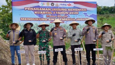 DTPHP Sulbar Hadiri Tanam Raya Jagung Serentak, Dukung Swasembada Pangan Nasional
