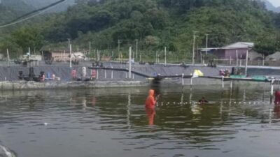 Soal Status Budidaya  Udang Vaname di Kalukku, Plt Kadis DKP Mamuju Yusuf Angkat Bicara