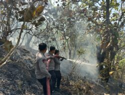 Polresta Mamuju Bersama TNI-Pemda Sigap Padamkan Karhutla di Desa Sumare, Permukiman Warga Terlindungi