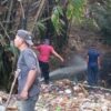 Petugas Damkar Berhasil Jinakkan Kebakaran Kebun Bambu di Pamboqborang