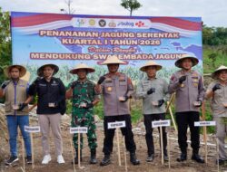 DTPHP Sulbar Hadiri Tanam Raya Jagung Serentak, Dukung Swasembada Pangan Nasional