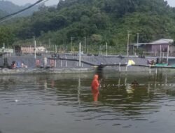 Soal Status Budidaya  Udang Vaname di Kalukku, Plt Kadis DKP Mamuju Yusuf Angkat Bicara