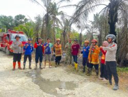 Puntung Rokok Picu Kebakaran Lahan Sawit di Lariang, Polisi dan Warga Bergerak Cepat