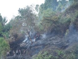 Kebun Warga di Bukit Kalubibing Terbakar, Polda Sulbar Gerak Cepat Padamkan Amukan Sijago Merah