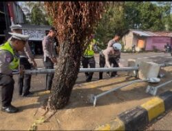Respon Cepat Ditlantas Polda Sulbar Evakuasi Pohon dan Tiang Lampu Tumbang Akibat Hujan Angin