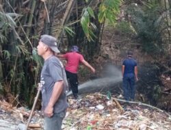 Petugas Damkar Berhasil Jinakkan Kebakaran Kebun Bambu di Pamboqborang
