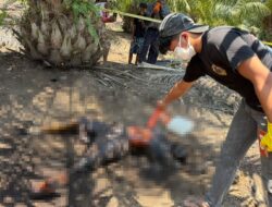 Warga Pangale Digegerkan Temuan Mayat di Kebun Sawit, Ternyata Supeno
